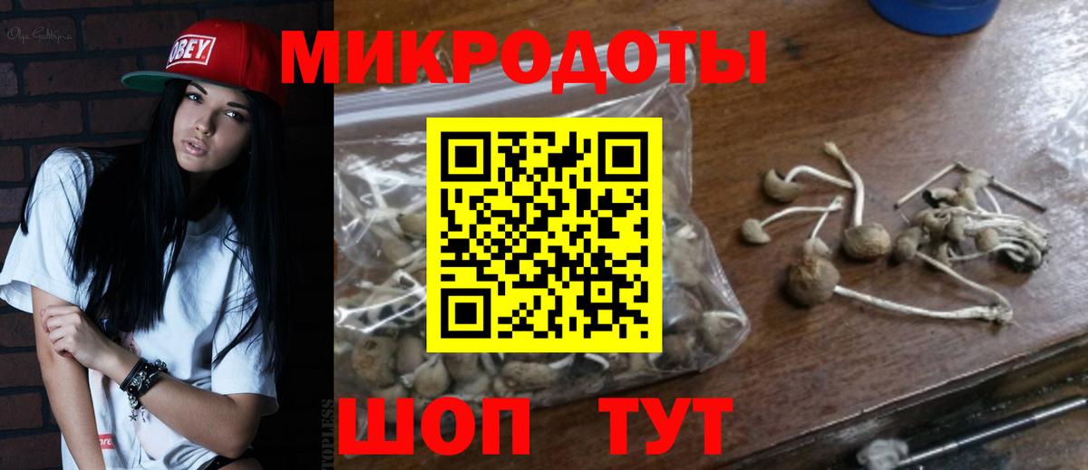 Галлюциногенные грибы мицелий Воскресенск