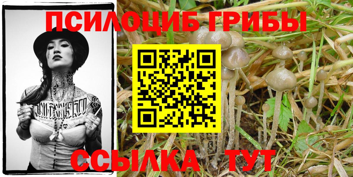 Воскресенск  Псилоцибиновые грибы Psilocybe  Вход с VPN  Галлюциногенные грибы ЛСД 